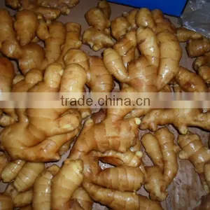 2015 New Fresh and Dried Ginger thumbnail-3