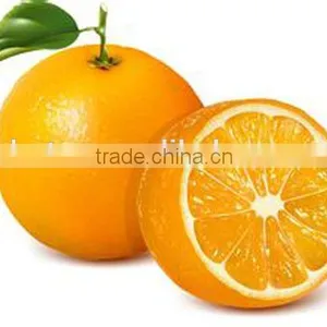 Low Price Hesperidin 90%-98% thumbnail-2