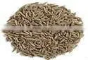 WHOLE CUMIN SEEDS thumbnail-1