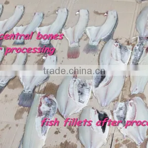 High Quality Low Price Medium Size Fish Salmon Fillet Cut Cutting Machine thumbnail-6