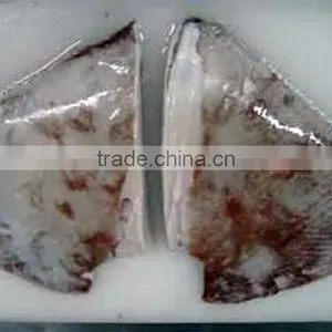 Giant Squid Wings thumbnail-1