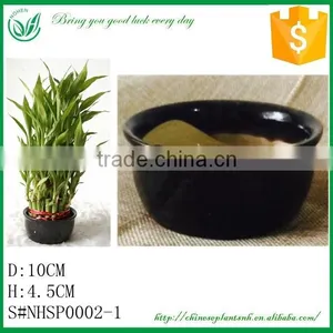 Ceramic Flower Pot thumbnail-1