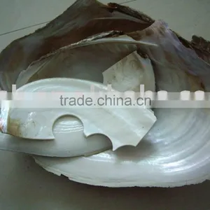 Cracked Broken Raw Chinese River Shell thumbnail-1
