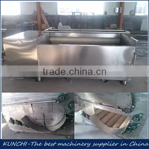 Automatic Chinese Carrot Peeling and Washing Machine thumbnail-1