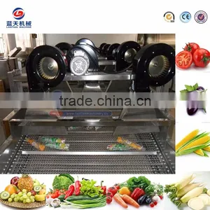 Professional Production Factory Ginger Fruit Garlic Dryer Machine for Sale thumbnail-3