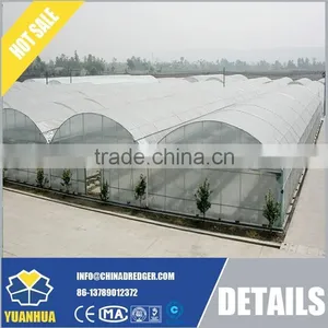 Commercial Greenhouse thumbnail-5