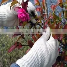 DDSAFETY 2017 Luvas De Algodao 7 Gauge Bleach Cotton Polyester String Knitted Safety Gloves thumbnail-5