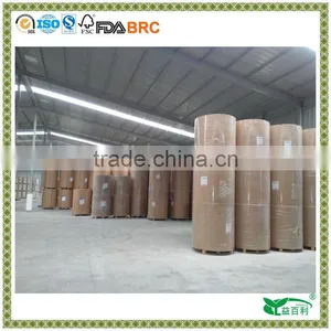 Bohui Paper 180GSM+15PE+15PE Paper Cups Roll thumbnail-1