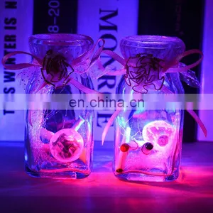 Coupler Romantic Gift Heart Shape Mirror Bottle Set Clear Glass Wishing Bottle With Led Light thumbnail-2