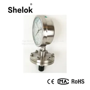 150mm Diaphragm Flange Pressure Gauges thumbnail-1