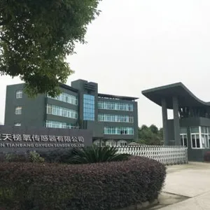 Wuhan TIANBANG Oxygen Sensor Co., Ltd company overview - view 1 thumbnail