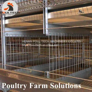 H Type Layer Chicken Cage With Automatic Feeding Machine, ee Collecting Machine thumbnail-3