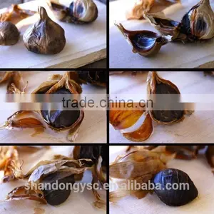 Good Quality Black Garlic thumbnail-1