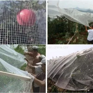 Batawa HDPE Agricultural Anti Hail Netting Orchard Tree Hail Protection Net With UV Resistance thumbnail-3