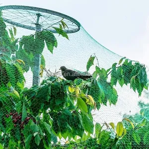 HDPE Grape Protection Net Anti Bird Net Agricultural Vineyard Hail Protection Net thumbnail-2