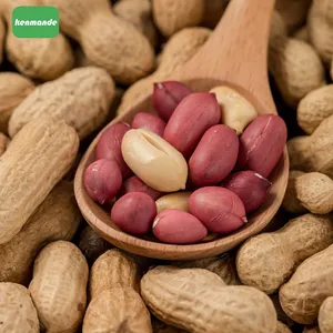 Direct Factory Bright Red Skin Red Coat Peanuts 50/60 for Ingredient Distribution Commercial Pack thumbnail-3