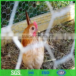 1/4 Inch Galvanized Welded Chicken Wire Mesh thumbnail-1