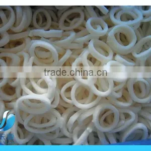 Frozen Whole Squid thumbnail-3