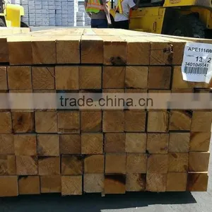 PREMIUM GREEN TIMBER thumbnail-3