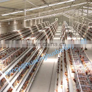 Varioties Functions Battery Broiler Chicken Cage for Broiler or Breeding Chicken thumbnail-6