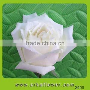 Good Smell 2016 Hot Sale New Added Flower Product Rose thumbnail-6