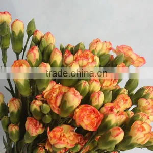 China Promotional Light Short Branch Carnation thumbnail-2