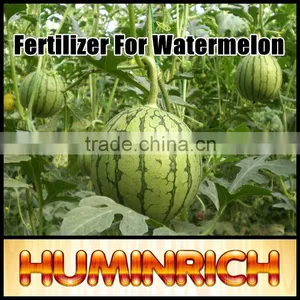 Huminrich Ore Humates Sources Fertilizer Synergist Humic Acid Potassium Salt Factory thumbnail-1