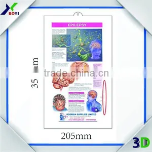 3D Anatomical Chart--- Ear, Nose and Throat (ENT) thumbnail-2