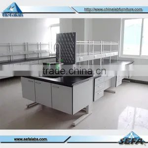 China Laboratory Furniture Manufacturer Biology Lab Workstation Metal Laboratory Workbench Lab Desk thumbnail-1