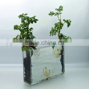 Cube Acrylic Vase Fillers thumbnail-1