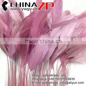Leading Supplier CHINAZP 10-15cm Length Decorative Dyed Light Pink Stripped Coque Chicken Tail Feathers thumbnail-1