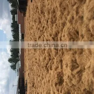 Coconut Fiber Making Equipments Prodcuing Fiber Opening Machine thumbnail-6