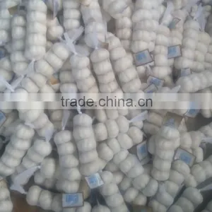 2014 Fresh Garlic , Jinxiang Garlic Normal White and Pure White thumbnail-2