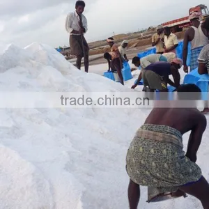 Raw Salt ( Crystal Salt) thumbnail-3