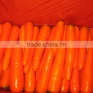 Fresh Carrot 9kg Carton thumbnail-2
