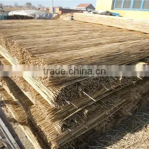 Electrical Drive Any Width Make by Order Rush Stalk Screen Machine thumbnail-6