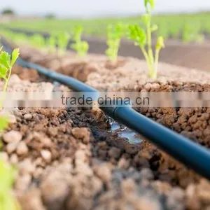 Micro Irrigation System thumbnail-3