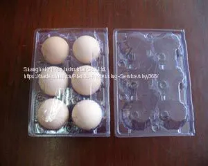 Egg Tray Manufacturer, Supplier & Exporter-Shanghai Yi You thumbnail-1