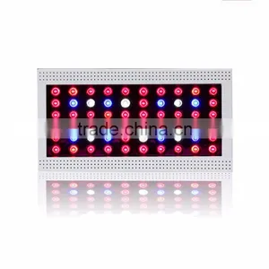 300w Led Hydroponic Grow Light 5w Chip for Hydroponic Veg and Bloom Led Grow Bulb thumbnail-4