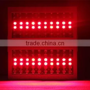 Plant Growing Diasy Chain Led Light High Lumen 300w Led Grow Light thumbnail-4