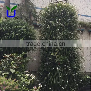 High Quality Imitated Decorative Artificial Plants Standing Wall thumbnail-1