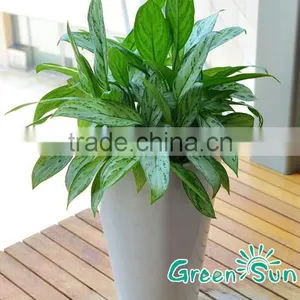 Hotsale PP Plastic Indoor and Outdoor Flower Gardening Pots thumbnail-1
