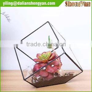 The Cube Shape Planter,geometric Glass Terrarium thumbnail-1
