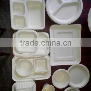 Food Containers and Plates thumbnail-1