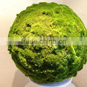 Artificial Moss Ball,green Moss Ball thumbnail-1
