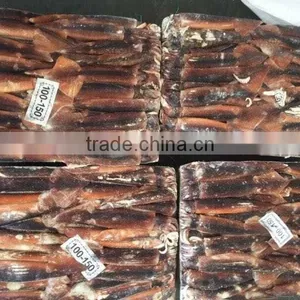 Frozen Illex Argentinus Squid for Sale thumbnail-5