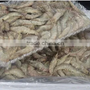 HL002 Frozen Pud Sea Catch Shrimp From China thumbnail-6