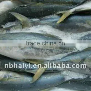 Yellow Tail thumbnail-1