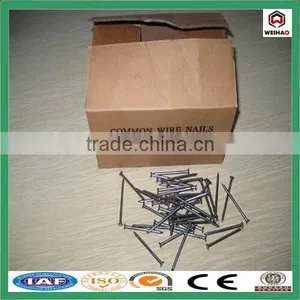 China Iso Factory Good Quality Construction Hot Sale Common Wire Nail thumbnail-1