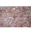 Kazakhstan The Best and The Newest Decorative Material thumbnail-1